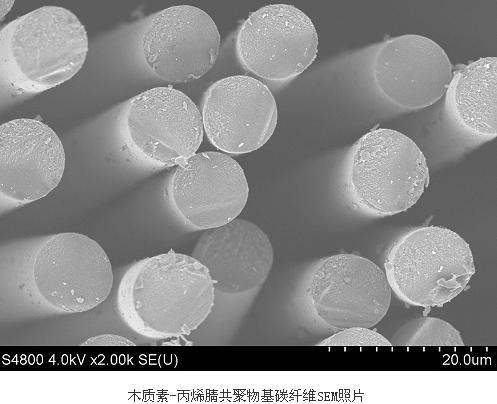 以木质素为原料生产碳纤维研究取得进展