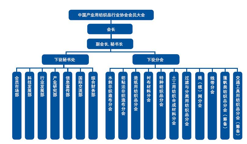       协会构架图